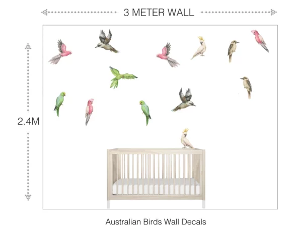 Australian Birds Wall Decals