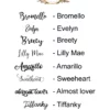 Desert Cactus Decal Set with Custom Names